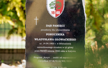 Janow_dąb-3428