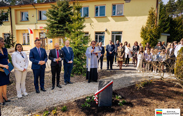 Janow_dąb-3383