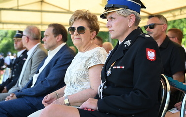 Jubileusz 60-lecia OSP Ludwik&oacute;w 94