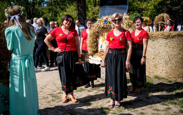 Dożynki Gminne w Domiechowicach 106