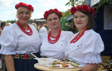 Dożynki Gminne w Domiechowicach 171