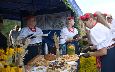 Dożynki Gminne w Domiechowicach 173