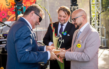 Dożynki Gminne w Domiechowicach 229