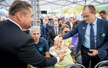 Dożynki Gminne w Domiechowicach 267