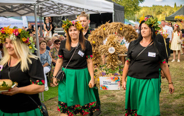 Dożynki Gminne w Domiechowicach 302