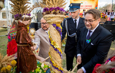 Dożynki Gminne w Domiechowicach 309