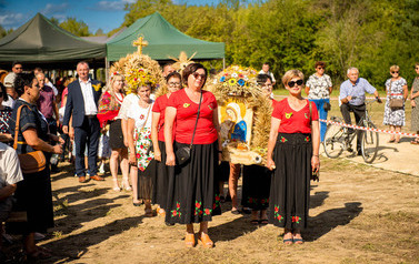 Dożynki Gminne w Domiechowicach 316