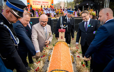 Dożynki Gminne w Domiechowicach 322