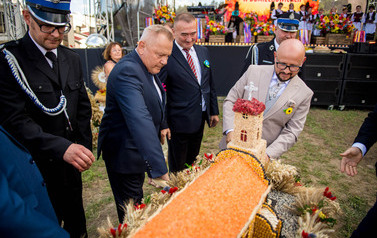 Dożynki Gminne w Domiechowicach 323