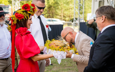 Dożynki Gminne w Domiechowicach 354