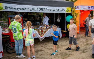 Dożynki Gminne w Domiechowicach 474