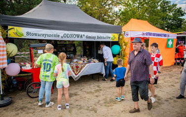 Dożynki Gminne w Domiechowicach 475