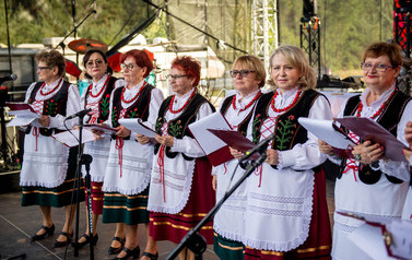 Dożynki Gminne w Domiechowicach 532