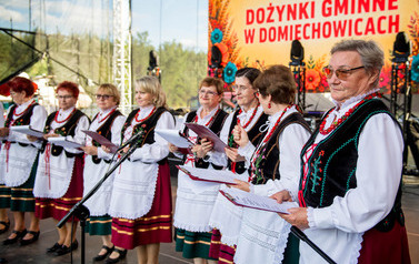 Dożynki Gminne w Domiechowicach 533