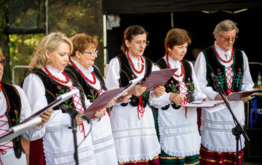Dożynki Gminne w Domiechowicach 536