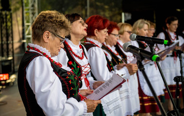 Dożynki Gminne w Domiechowicach 537