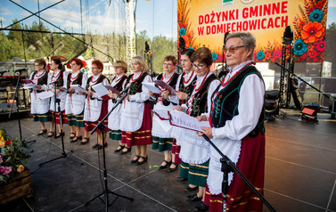 Dożynki Gminne w Domiechowicach 540