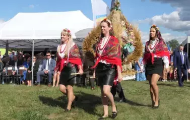 Dożynki Gminne w Oleśniku - Porębach 207