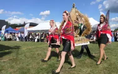 Dożynki Gminne w Oleśniku - Porębach 261