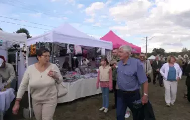 Dożynki Gminne w Oleśniku - Porębach 395