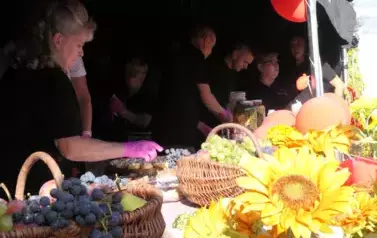 Dożynki Gminne w Oleśniku - Porębach 421