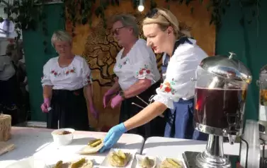 Dożynki Gminne w Oleśniku - Porębach 432