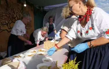 Dożynki Gminne w Oleśniku - Porębach 433