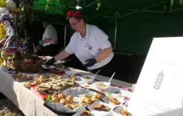 Dożynki Gminne w Oleśniku - Porębach 434