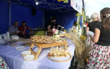 Dożynki Gminne w Oleśniku - Porębach 454