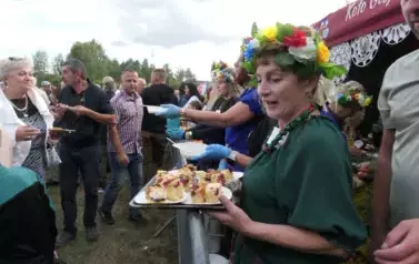 Dożynki Gminne w Oleśniku - Porębach 461