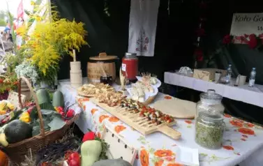 Dożynki Gminne w Oleśniku - Porębach 475