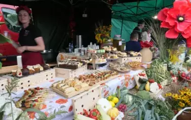 Dożynki Gminne w Oleśniku - Porębach 476