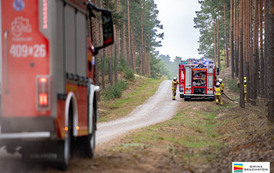 cwiczenia_OSP_słok-0572