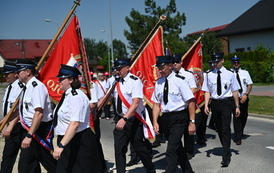 Jubileusz 60-lecia OSP Ludwik&oacute;w 116