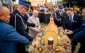 Dożynki Gminne w Domiechowicach 321