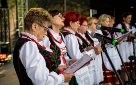 Dożynki Gminne w Domiechowicach 537