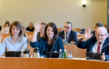 Sesja budżetowa Rady Gminy Bełchat&oacute;w (29 grudnia 2025 roku) 36