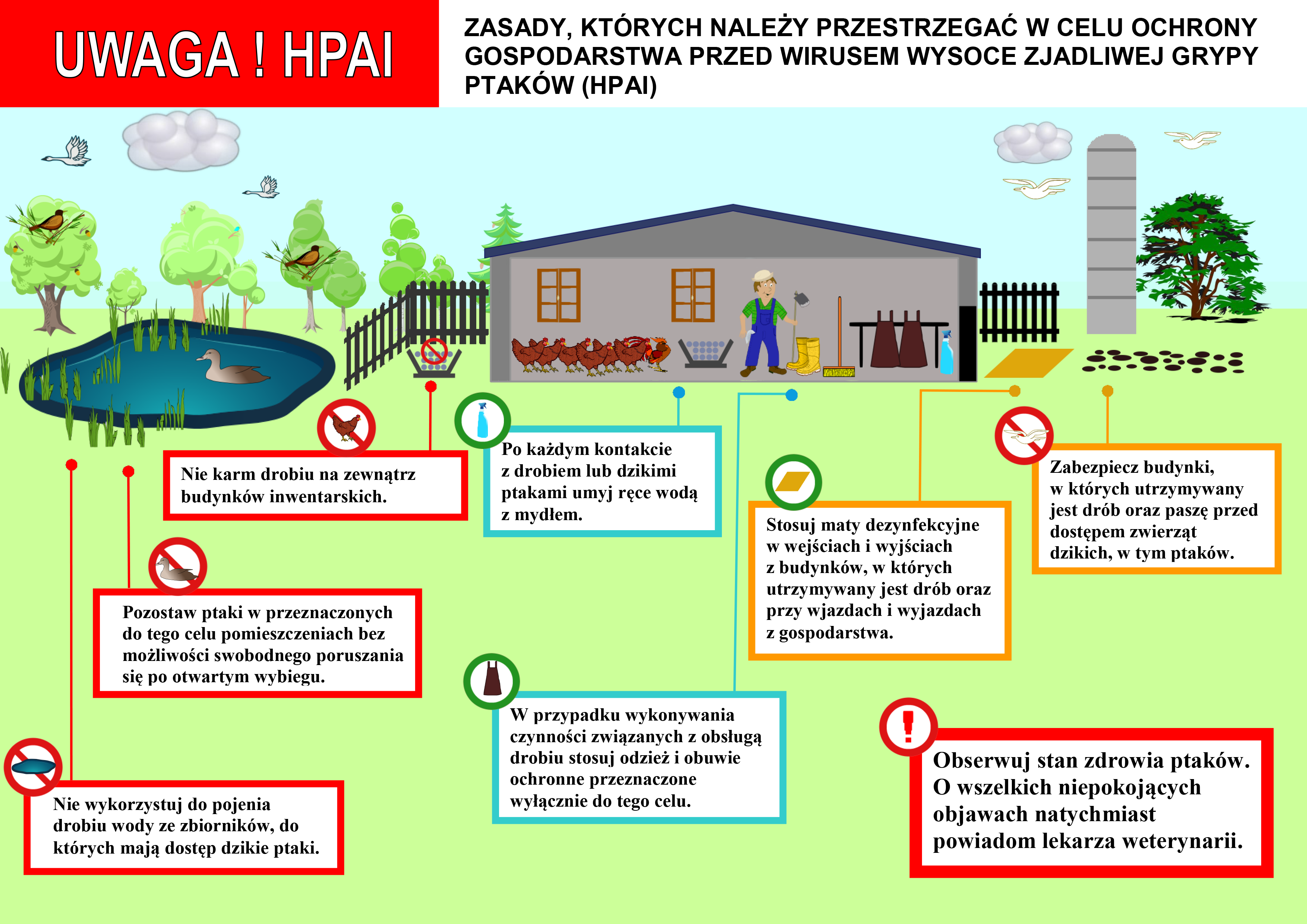 ulotka informująca o&nbsp;zasadach ochrony przed wirusem wysoce zjadliwej grypy ptak&oacute;w