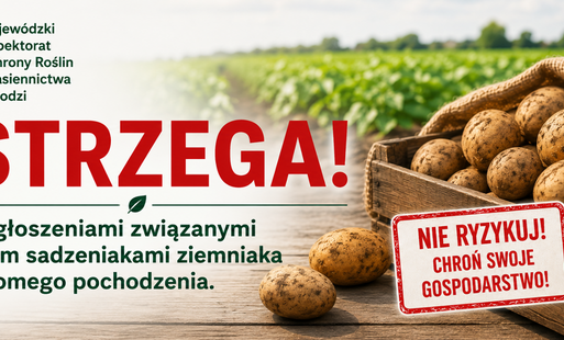 zdjęcie ziemniaków i napis Wojewódzki inspektorat ochrony roślin i nasiennictwa w łodzi ostrzega