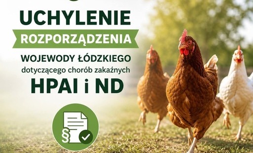 ptaki