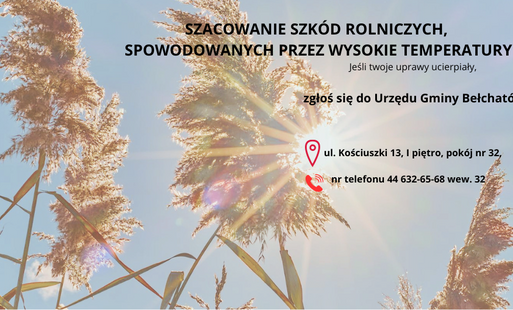 kwitnące trawy i mocno święcące słońce, napis informujący o szacowaniu szkód rolniczych