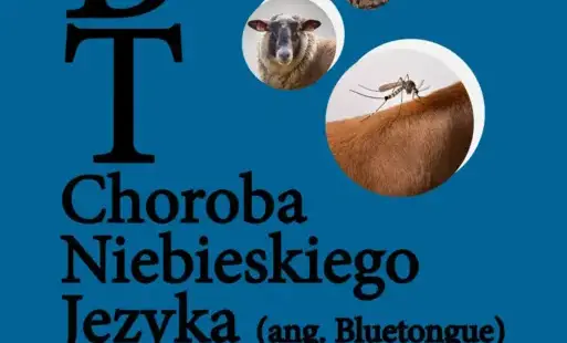 choroba niebieskiego języka